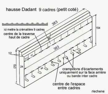 Abeilles Hausse%20Dadant%209_pc